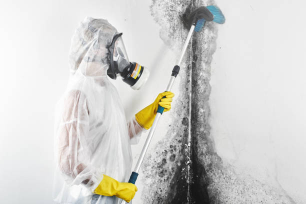 Best Mold removal after water damage  in Americus, GA