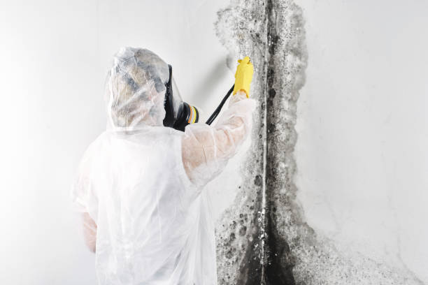 Best Local water damage restoration  in Americus, GA