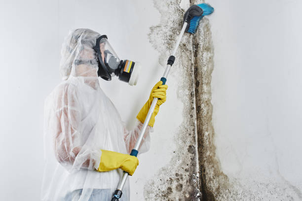 Best Sewage cleanup and water damage restoration  in Americus, GA